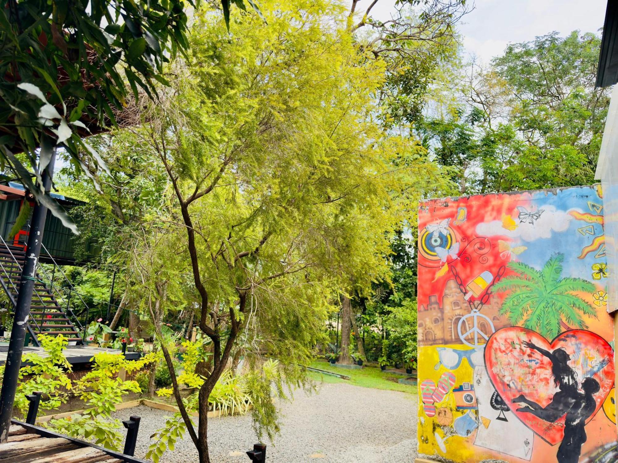 Traveler'S Haven Hostel At Colombo Intl Airport カトゥナカヤ エクステリア 写真